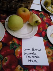 Jim Reilly Apple