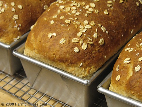 Oatmeal Toasting Bread in loaf pans