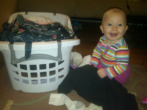 laundry nugget