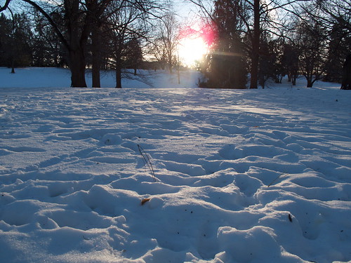 Sun, Snow and Shadow