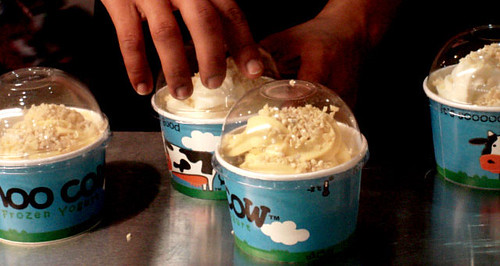moo cow frozen yogurt (2)