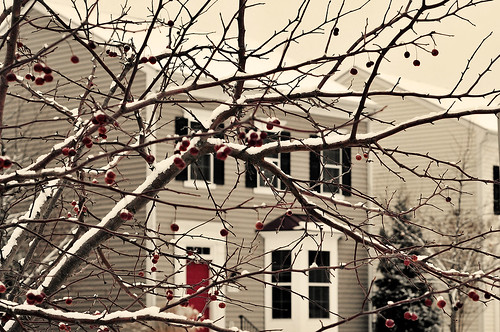 home ~ winter 2011