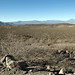 Steppa desertica 30km dopo Ranquil Norte