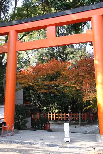 晩秋の鳥居 / Beautiful torii
