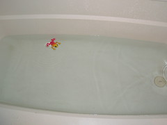frog in tub (1)