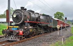 Last Steam Train to Ferny Grove - Arriving