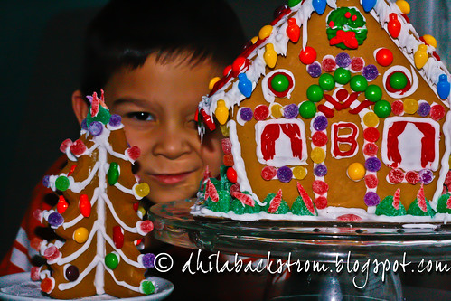 gingy_house-15