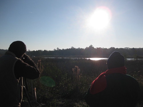Photographers wait for Whooping Cranes in Saint Marks