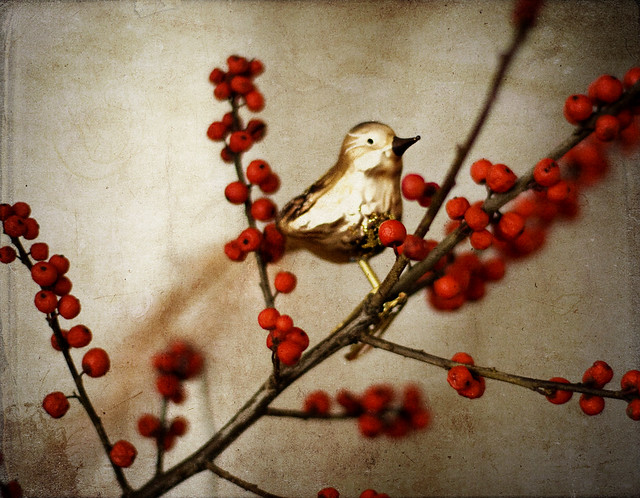 bird_tree