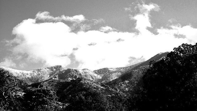 Looking up towards Crest Trail