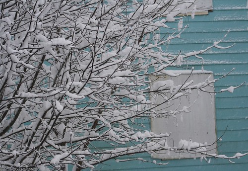 First snow day of the year. The boarded up crackhouse in my backyard looked pretty. I like pretty things. 