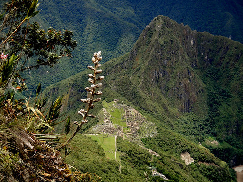 View from Monta~na Machu Picchu