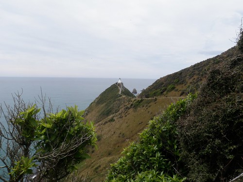 PC303600-Nugget point