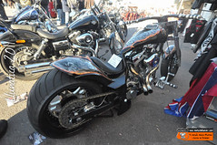 Moto Harley Davidson, Sueca Iron