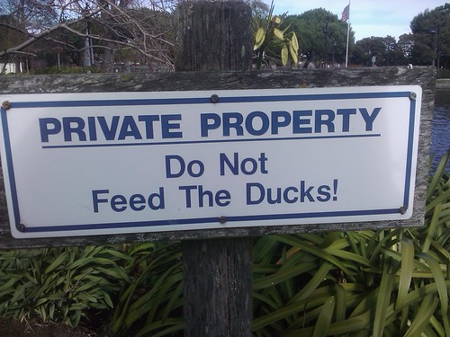 March 1: Private Property, Do Not Feed the Ducks!