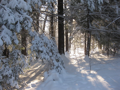 morning snowshoe expedition