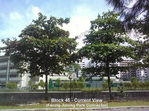 Blk 46 view