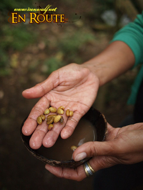 Washed Civet Coffee Beans