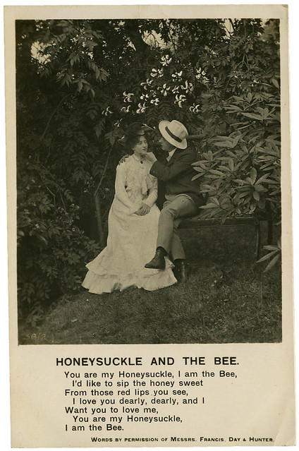 Honeysuckle and the Bee_tatteredandlost