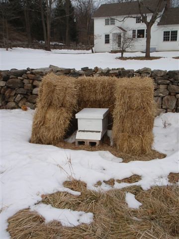 Hay bales are used to insulate this bee hive from cold winter winds. Pollinators are an important partner to the farm’s fruit and vegetable production.