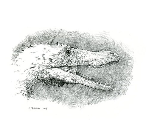 velociraptor mongoliensis