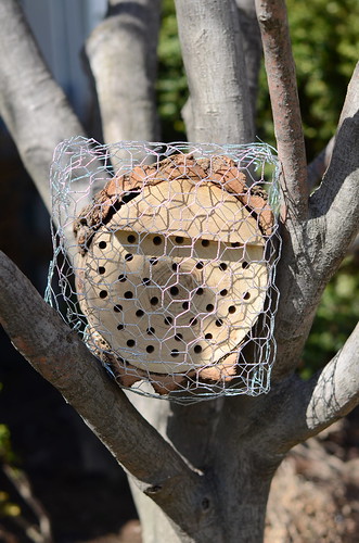 Make a mason bee nest