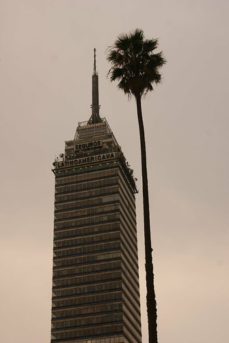La palma mas alta del mundo by FotoMimo