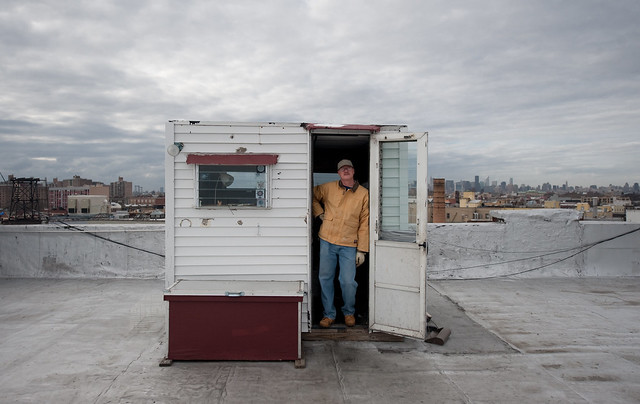 Whitey on roof: Bushwick Brooklyn