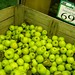 2011.3.12 Fresh Farm Apple