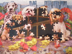 Olivia's Puzzle