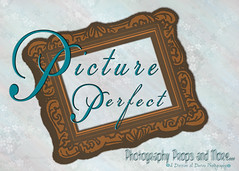Picture Perfect Framead