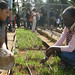 NYC educator with student working on urban agriculture.
