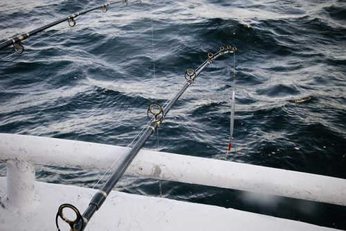 Carolin Weinkopf, Ålesund, Norway, fishing