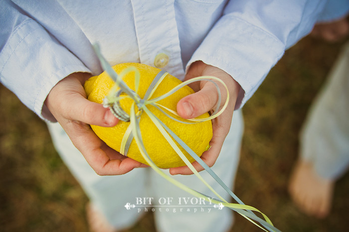 yellow lemon ring pillows