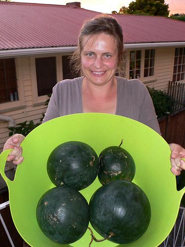 #dailyimage2011 9 Mar melons
