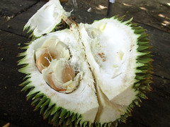 Zanzibar Durian