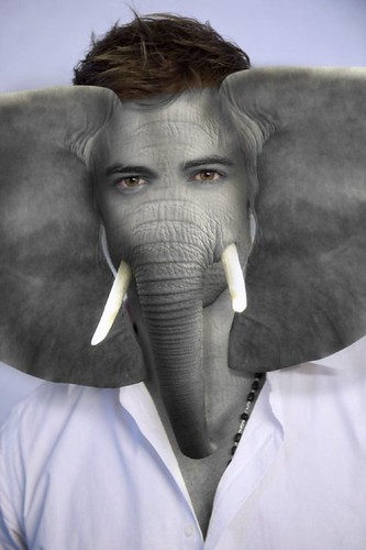 william levy 2011. William Levy Elephant Man