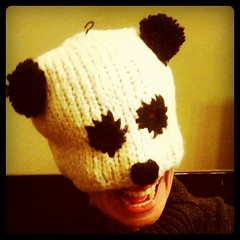 File under: That’s not how you’re supposed to wear your panda hat