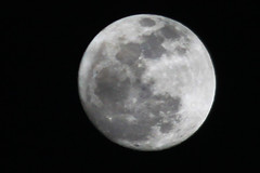 The Moon (IMG_7718-4)