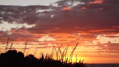 Cape Foulwind Sunset