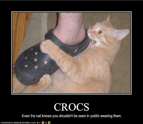 Crocs even the cat knows