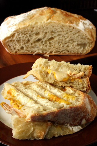 Anna's No-Knead Artisan Bread