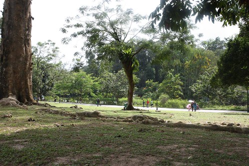 botanic gardens during CNY