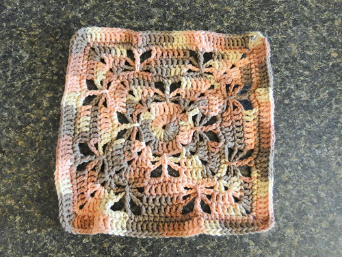 butterfly dishcloth