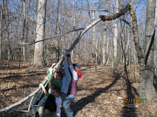 2/19/11: The branch crossed the trail...