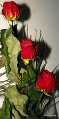 In numele trandafirului (2) by claudiunh