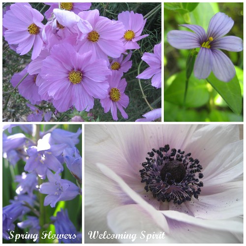 springflowers_purple
