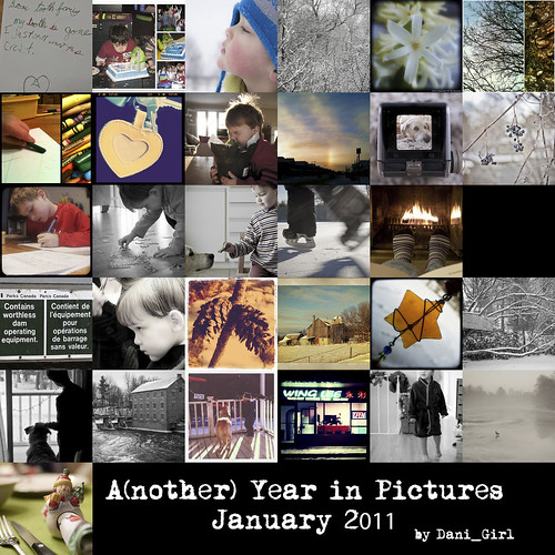 365 Monthly Mosaic - January