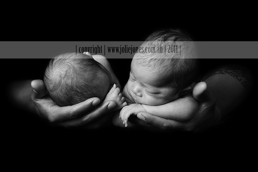 canberra twin newborn baby photographer