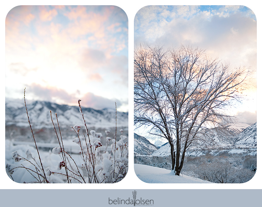 blog Cache Valley Logan Utah winter